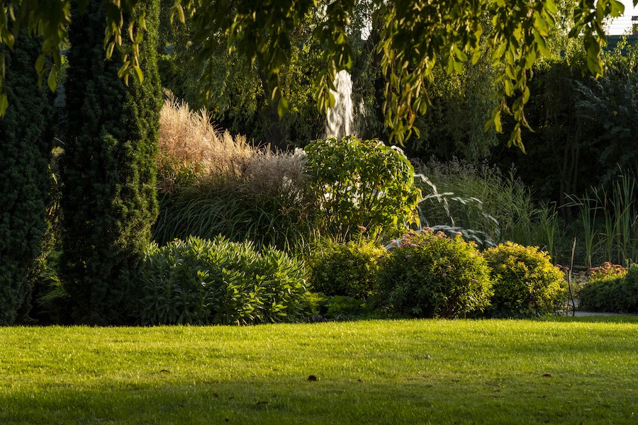 artificial pond with bushes and shrubs decorated in landscaping